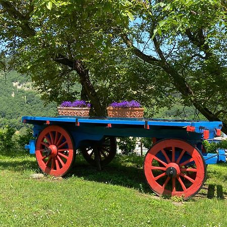 Agriturismo Popolano Di Sotto Marradi Bagian luar foto