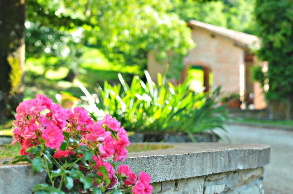 Agriturismo Popolano Di Sotto Marradi Bagian luar foto