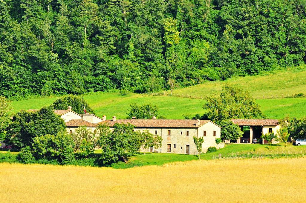Agriturismo Popolano Di Sotto Marradi Bagian luar foto