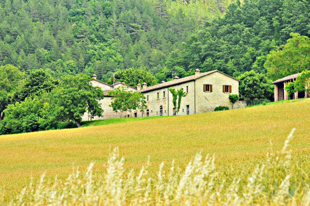 Agriturismo Popolano Di Sotto Marradi Bagian luar foto