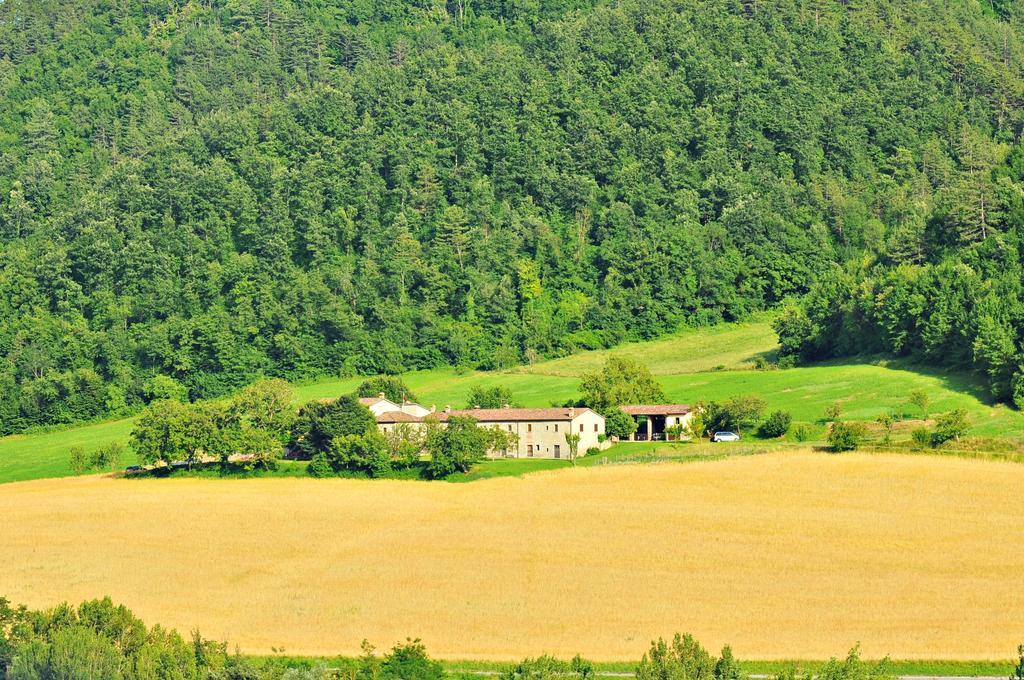 Agriturismo Popolano Di Sotto Marradi Bagian luar foto