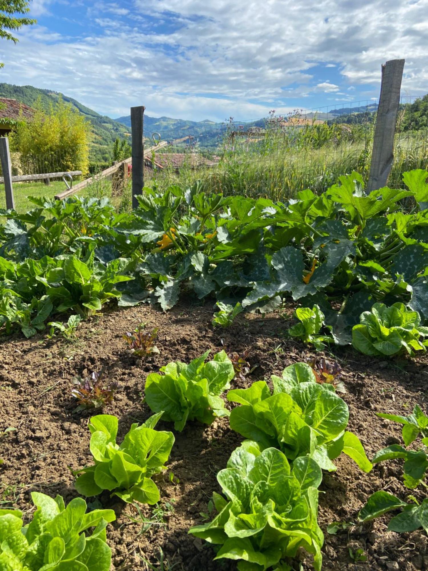 Agriturismo Popolano Di Sotto Marradi Bagian luar foto