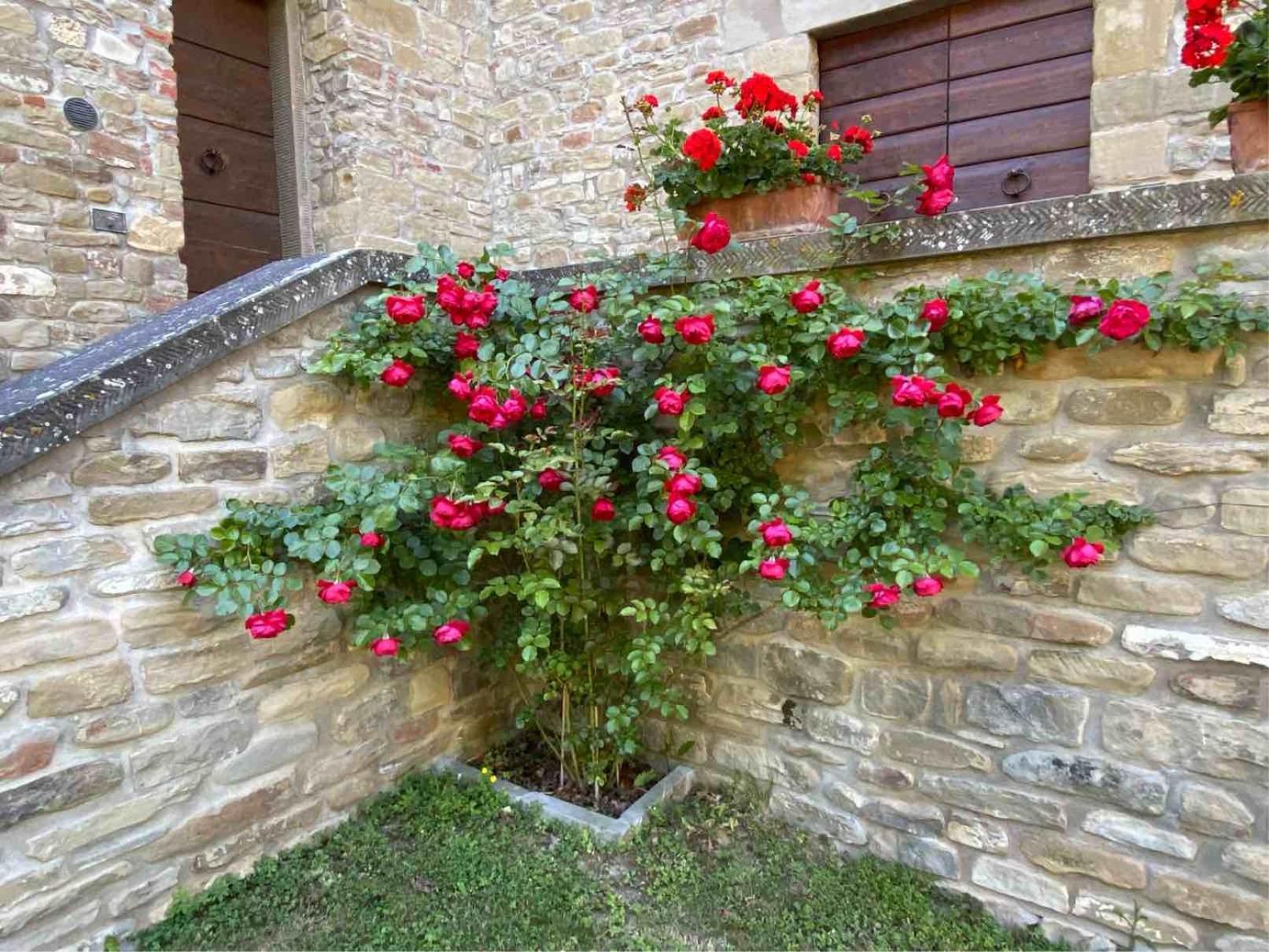 Agriturismo Popolano Di Sotto Marradi Bagian luar foto