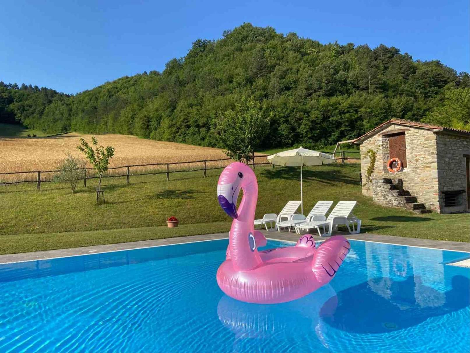 Agriturismo Popolano Di Sotto Marradi Bagian luar foto