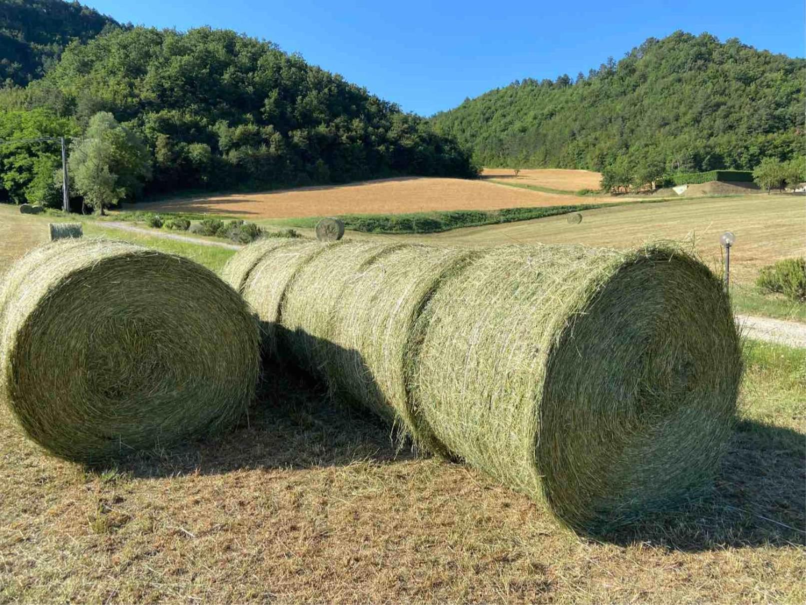 Agriturismo Popolano Di Sotto Marradi Bagian luar foto