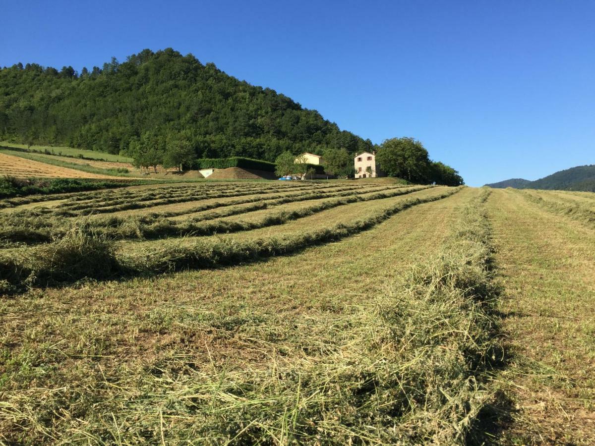 Agriturismo Popolano Di Sotto Marradi Bagian luar foto